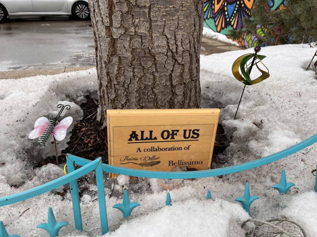 a small plaque at the base of a street tree